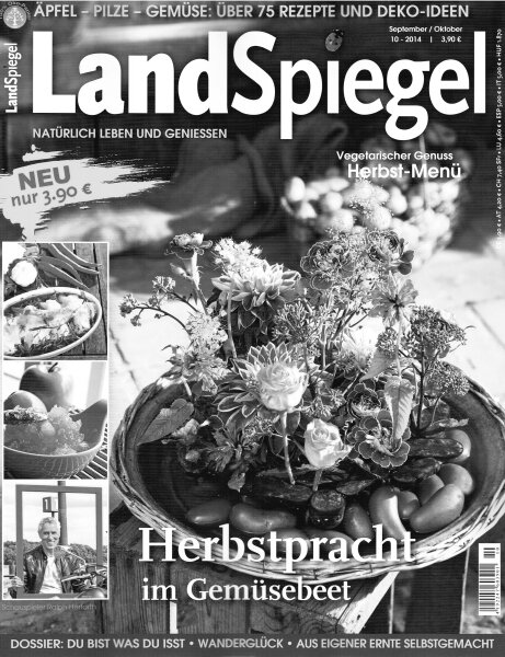 Keramikdesign Lisa Liesges-Zeitungsberichte Landspiegel